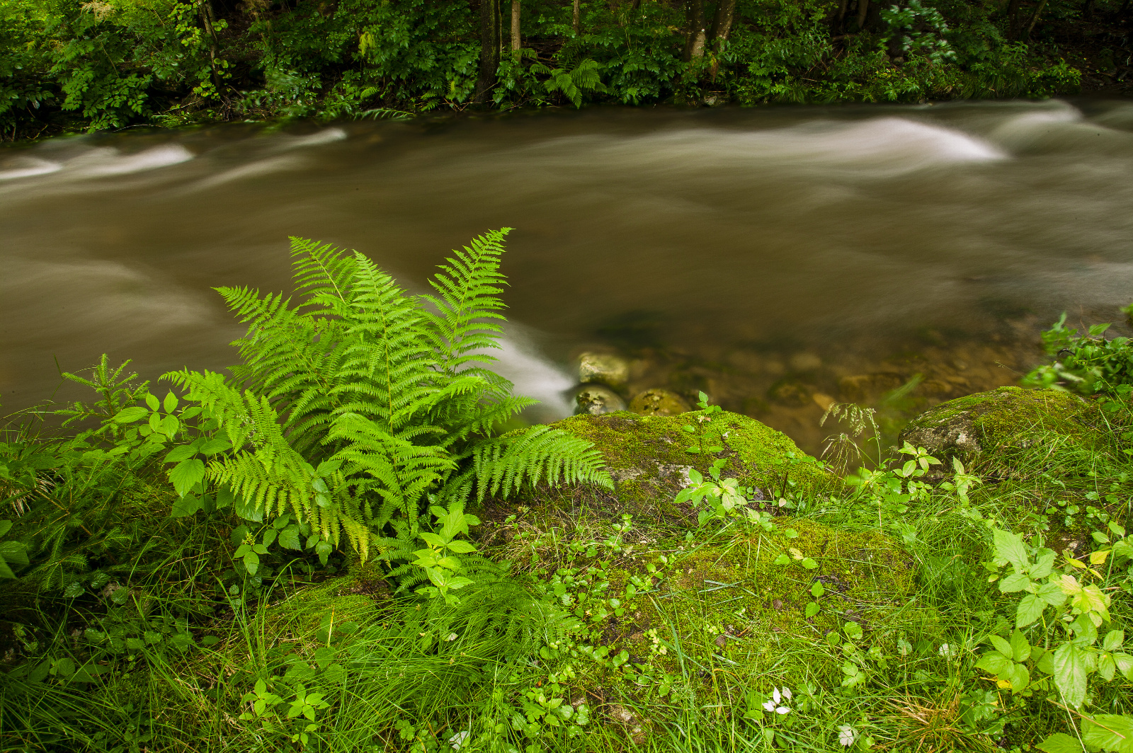 20DU3104 (71 von 153)